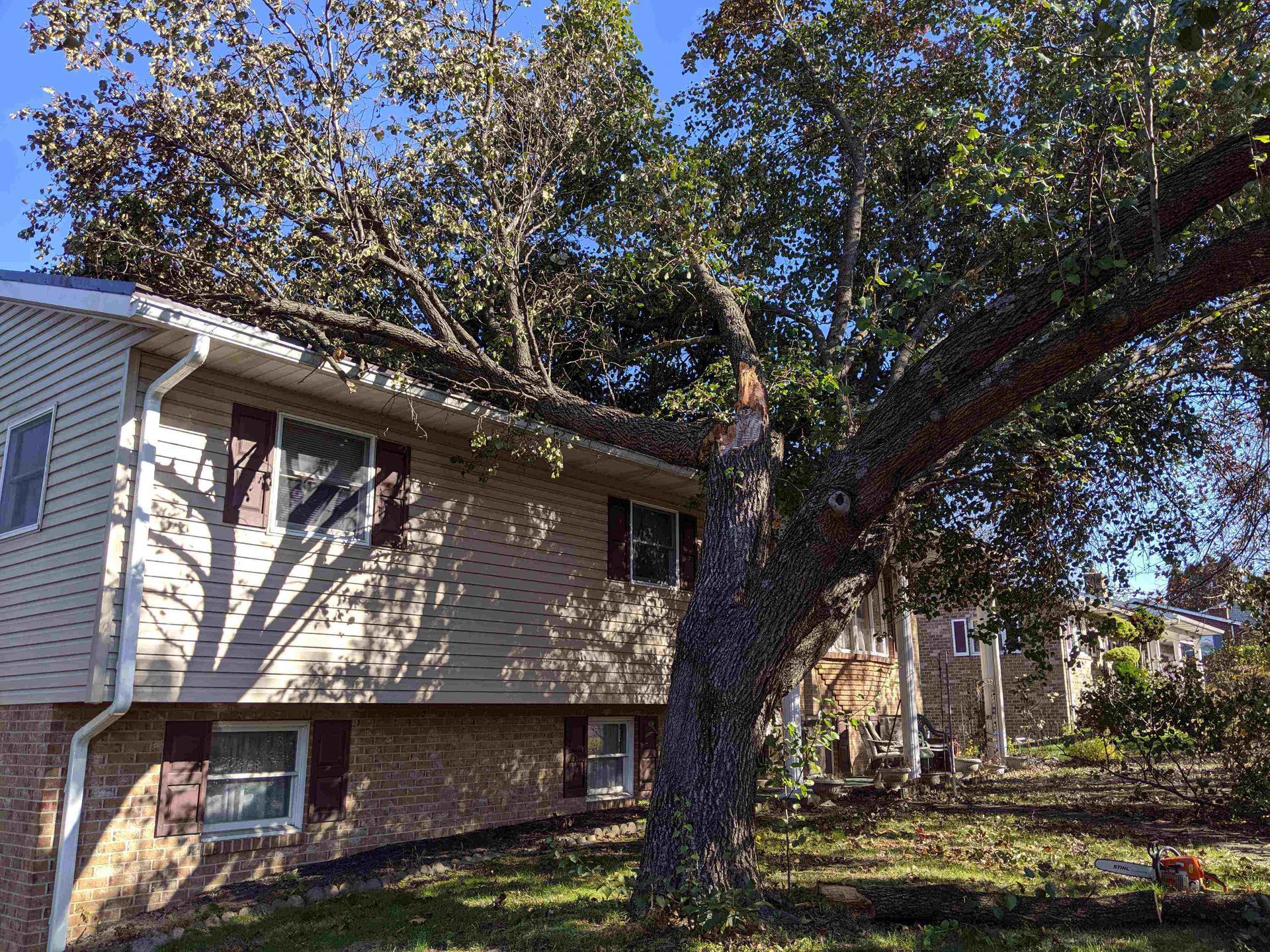 A house with a tree fallen on it in front of it.