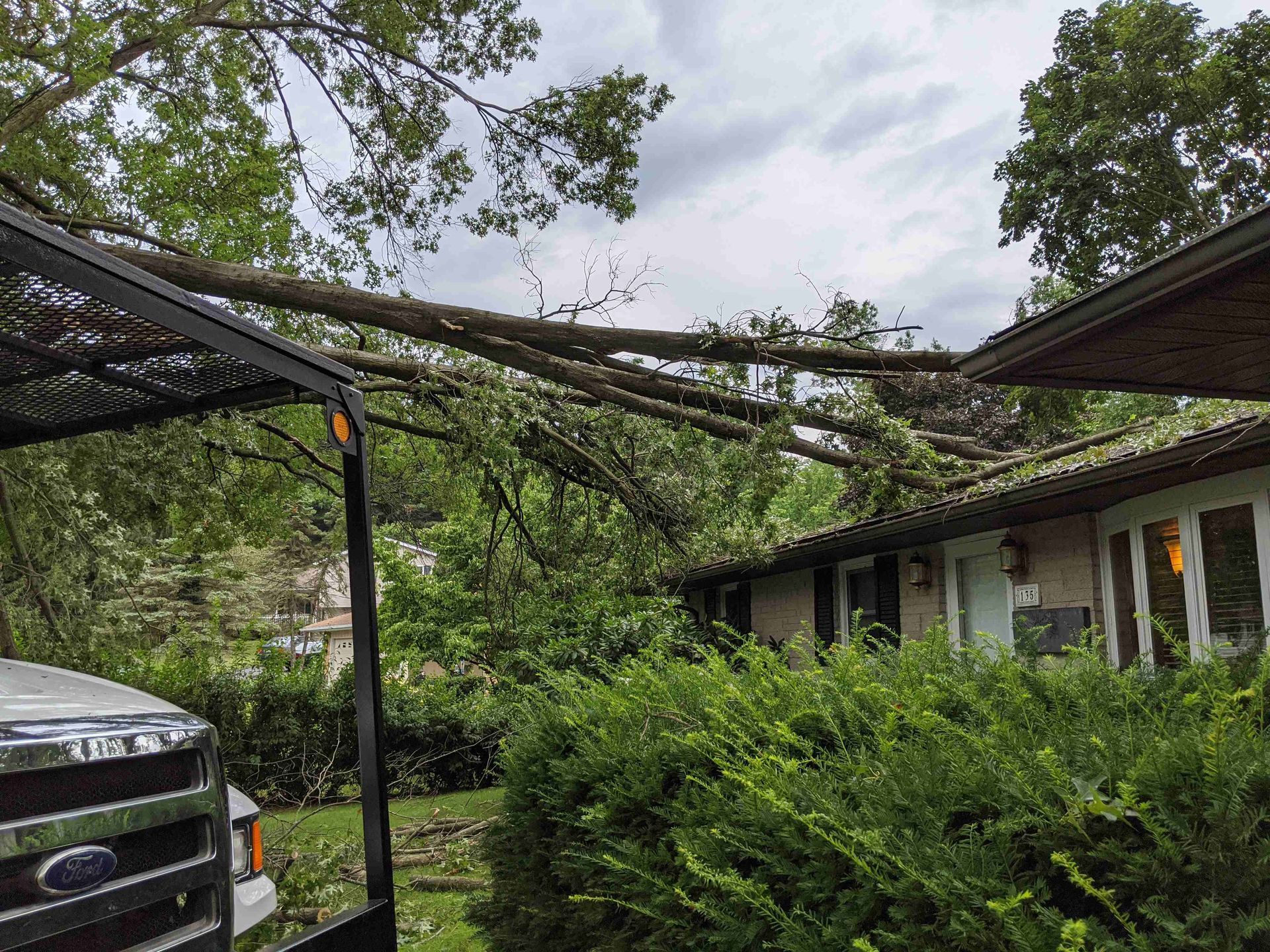 A tree has fallen on the roof of a house.
