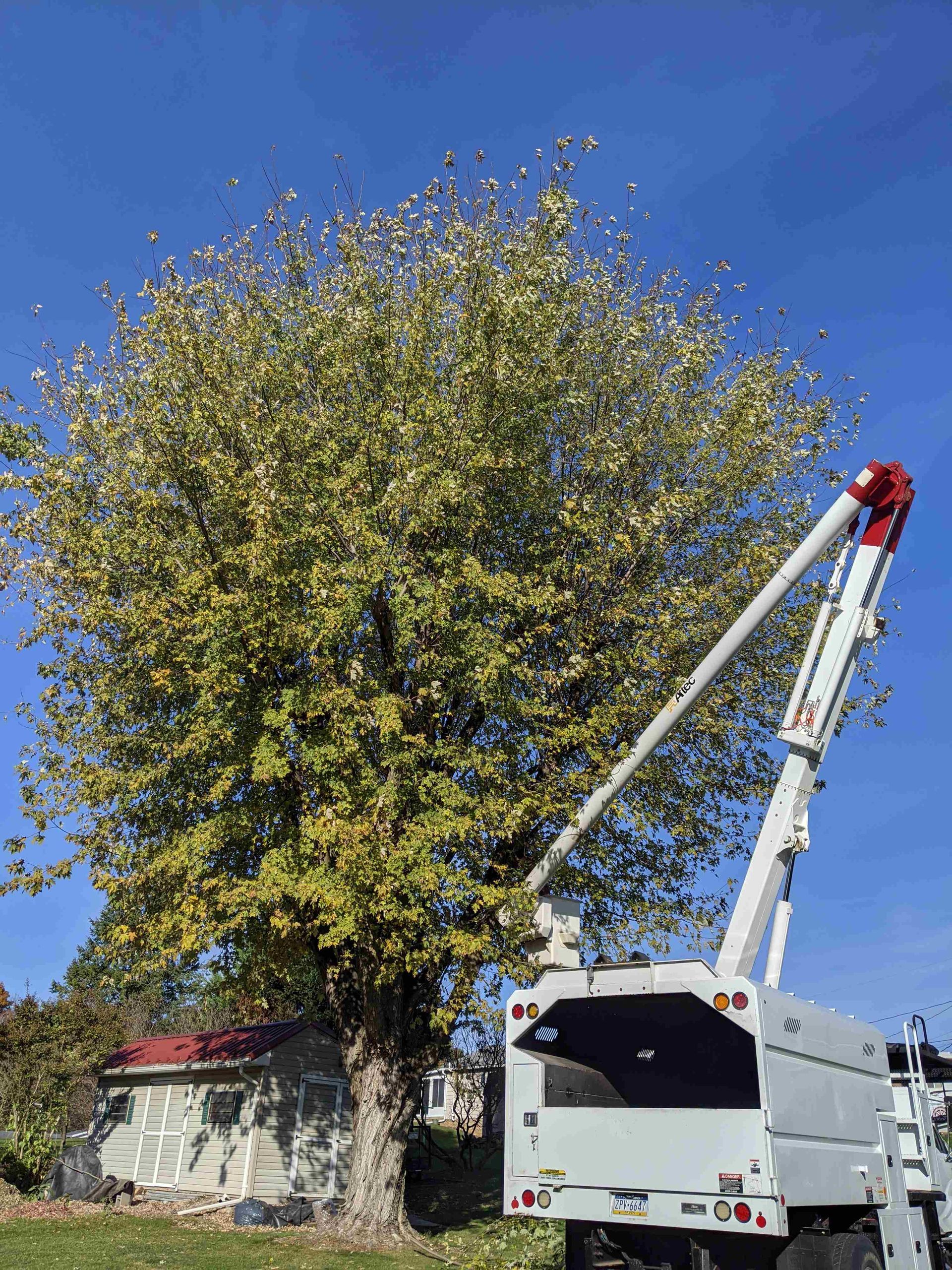 A tree cutting truck is cutting a tree in front of a house.