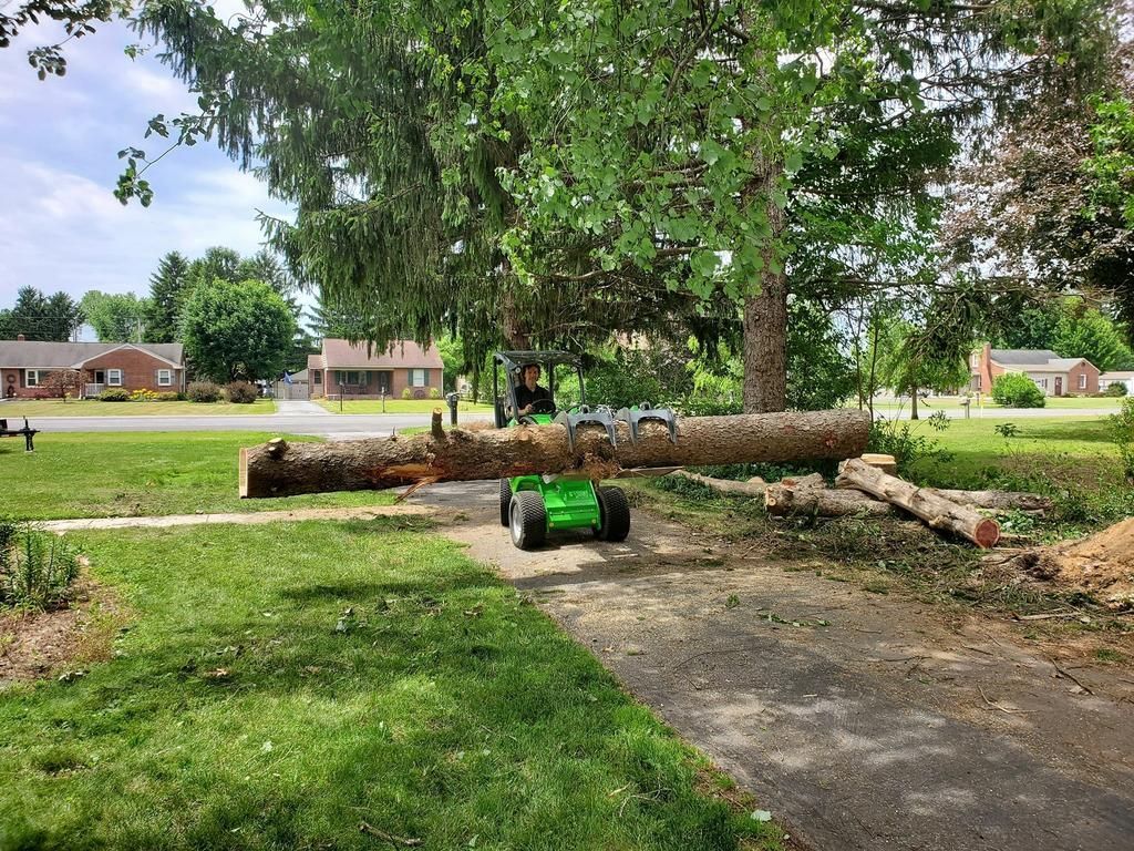 A green tractor is carrying a large log down a path.