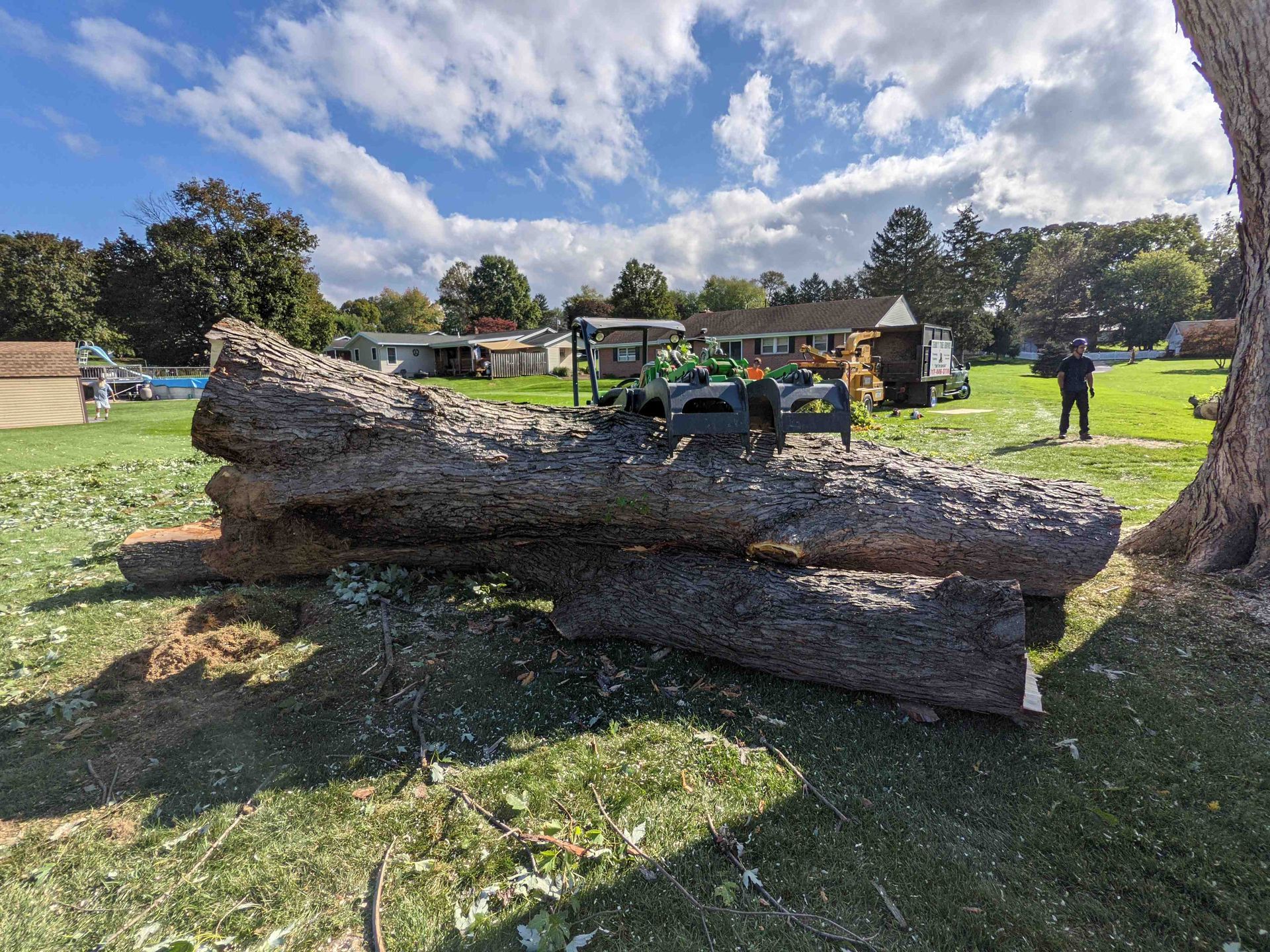 A large log is sitting on top of a lush green field.