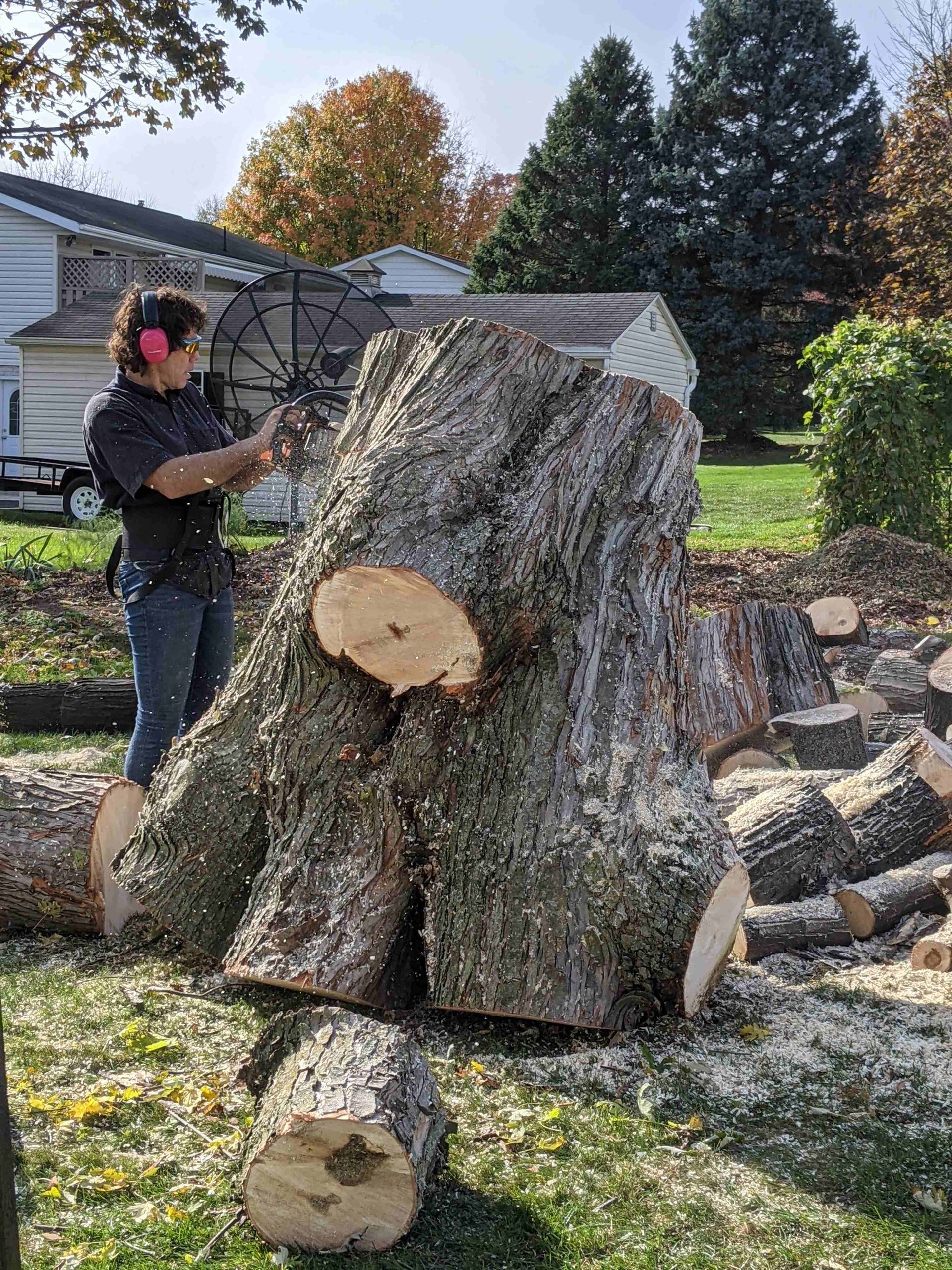 A man is cutting a tree stump with a chainsaw.
