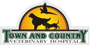 Animal Care Services | Apex, NC | Town and Country Animal Care