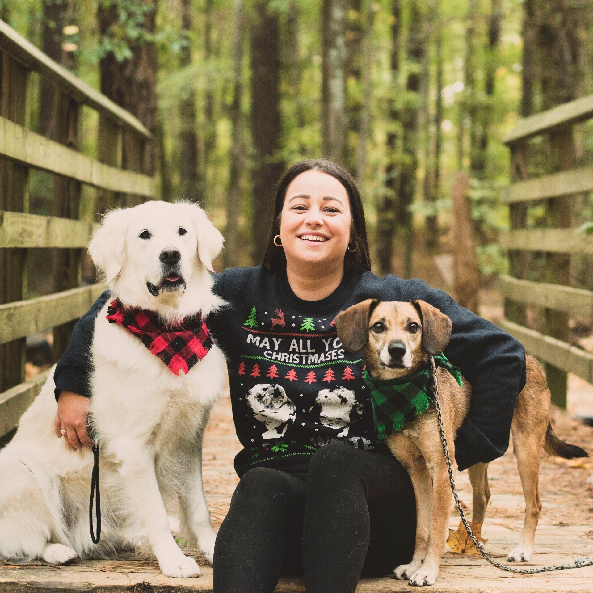 Lindsey — Apex, NC — Town And Country Animal Care