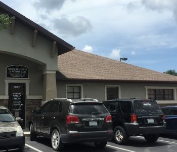 doctors in new port richey fl