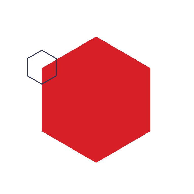 hexagon shapes in red and navy blue