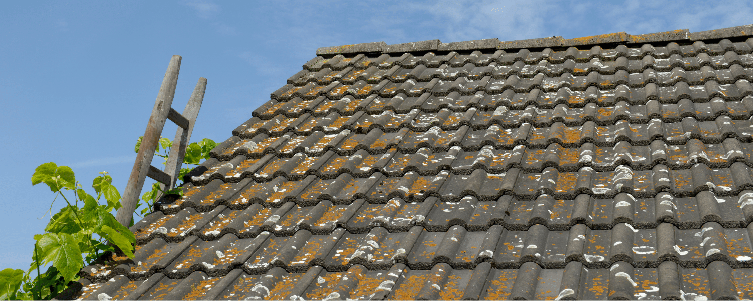 Tiled roof before cleaning