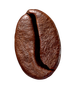 Un singolo chicco di caffè tostato, di colore marrone scuro, con una vistosa piega centrale, isolato su sfondo bianco.