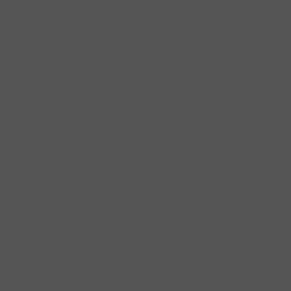 Alpha Kings Epoxy Samples - Flat Colors Charcoal 470