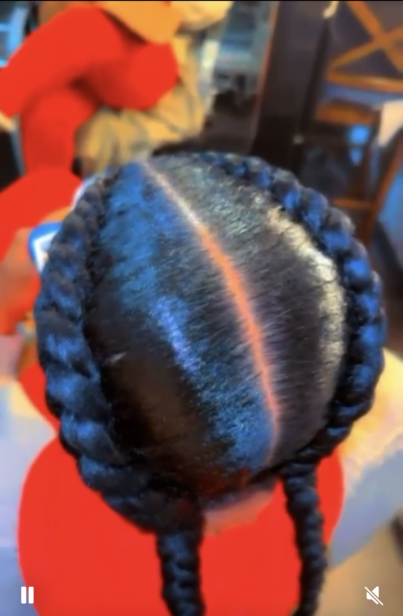 Close-up of a person's head with two thick, dark, braided pigtails. A parted, smooth, center hairline is visible.