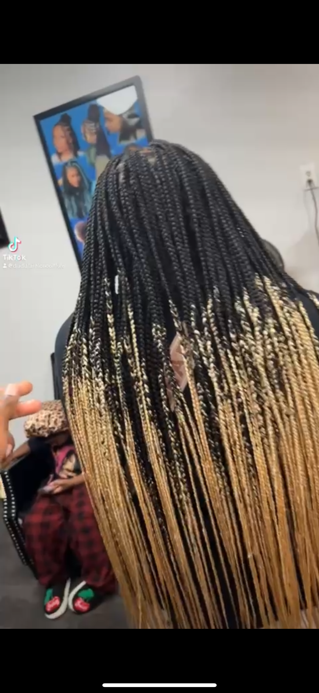 Black and blonde box braids, with the subject's back to the camera, showcasing the hairstyle.