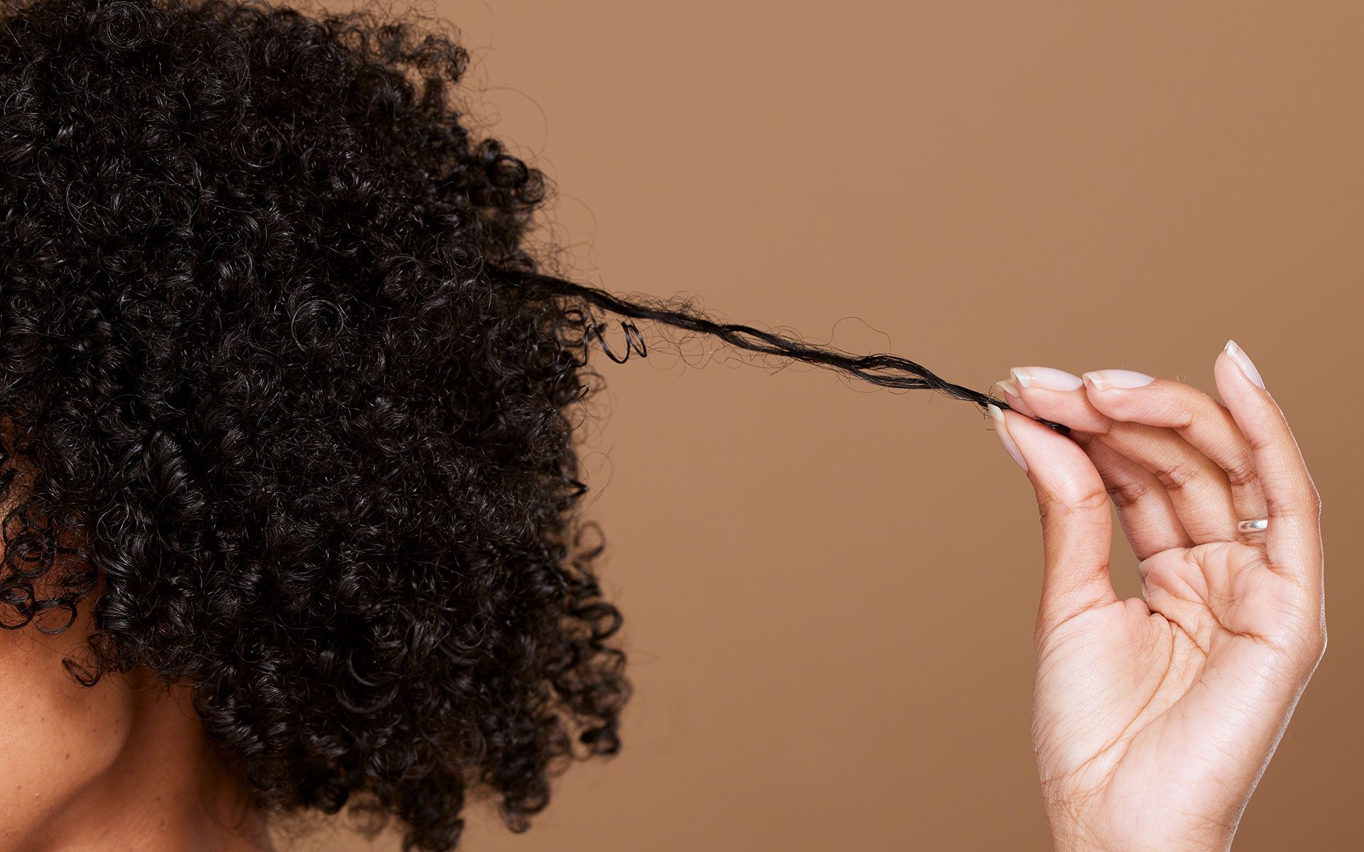 Hand holding a strand of dark, curly hair against a brown background.