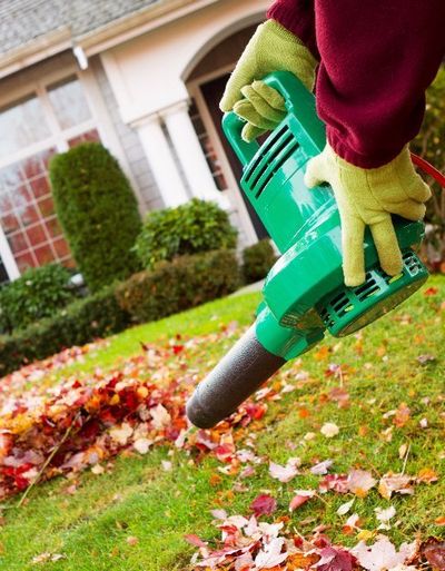 Leaf Removal Erie Pa Affordable Lawn Care Maintenance Company