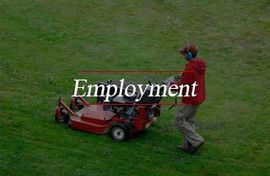 Affordable Lawn Care Maintenance Company Erie, PA