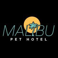 Malibu Pet Hotel | Pet Boarding — recent pet boarding services photo in Freeport, NY (Google Business Profile)