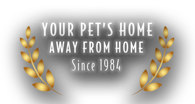 Malibu Pet Hotel  |  Your Pet's Home Away From Home  |  Freeport NY