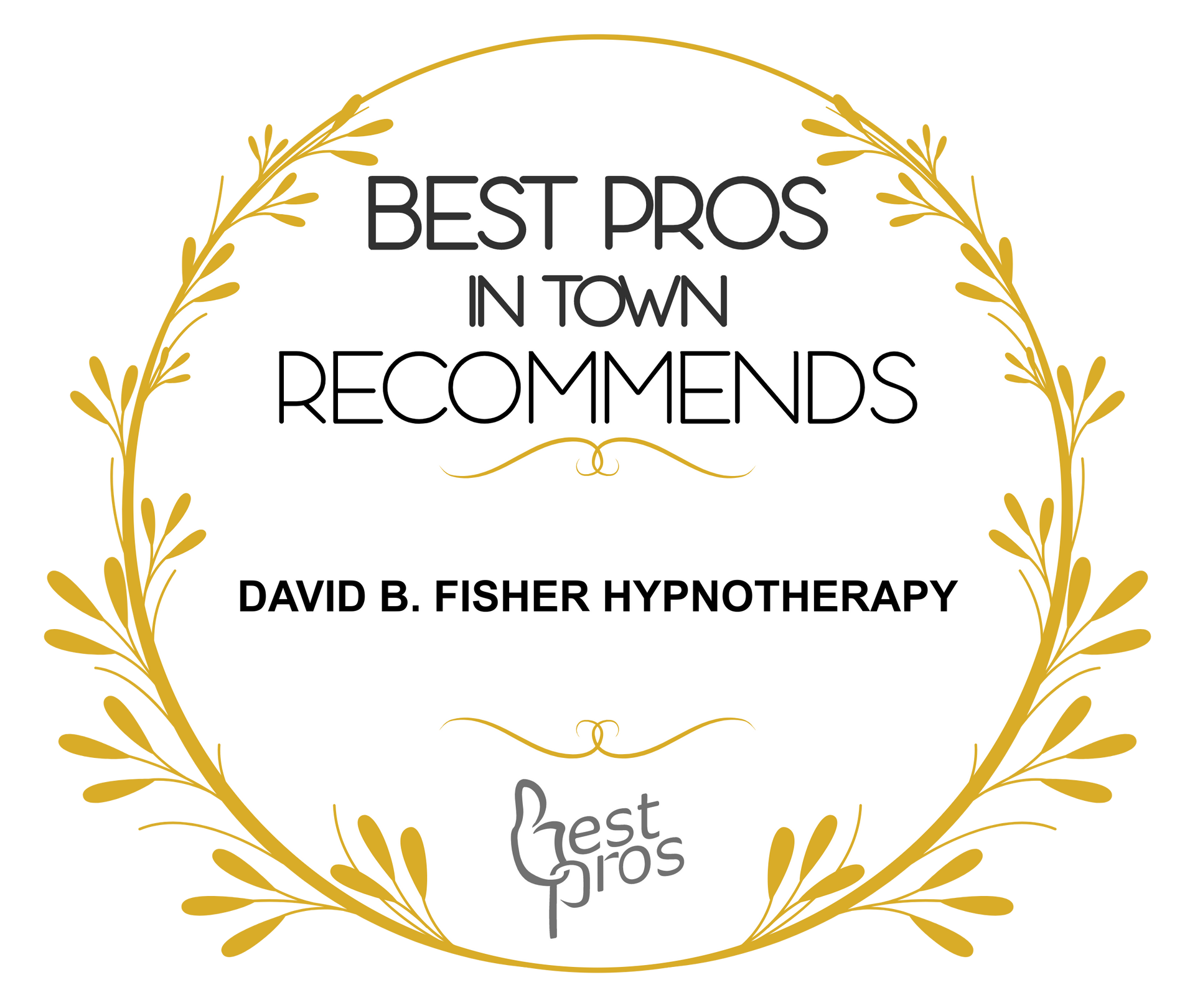Best Pros In Town Recommends