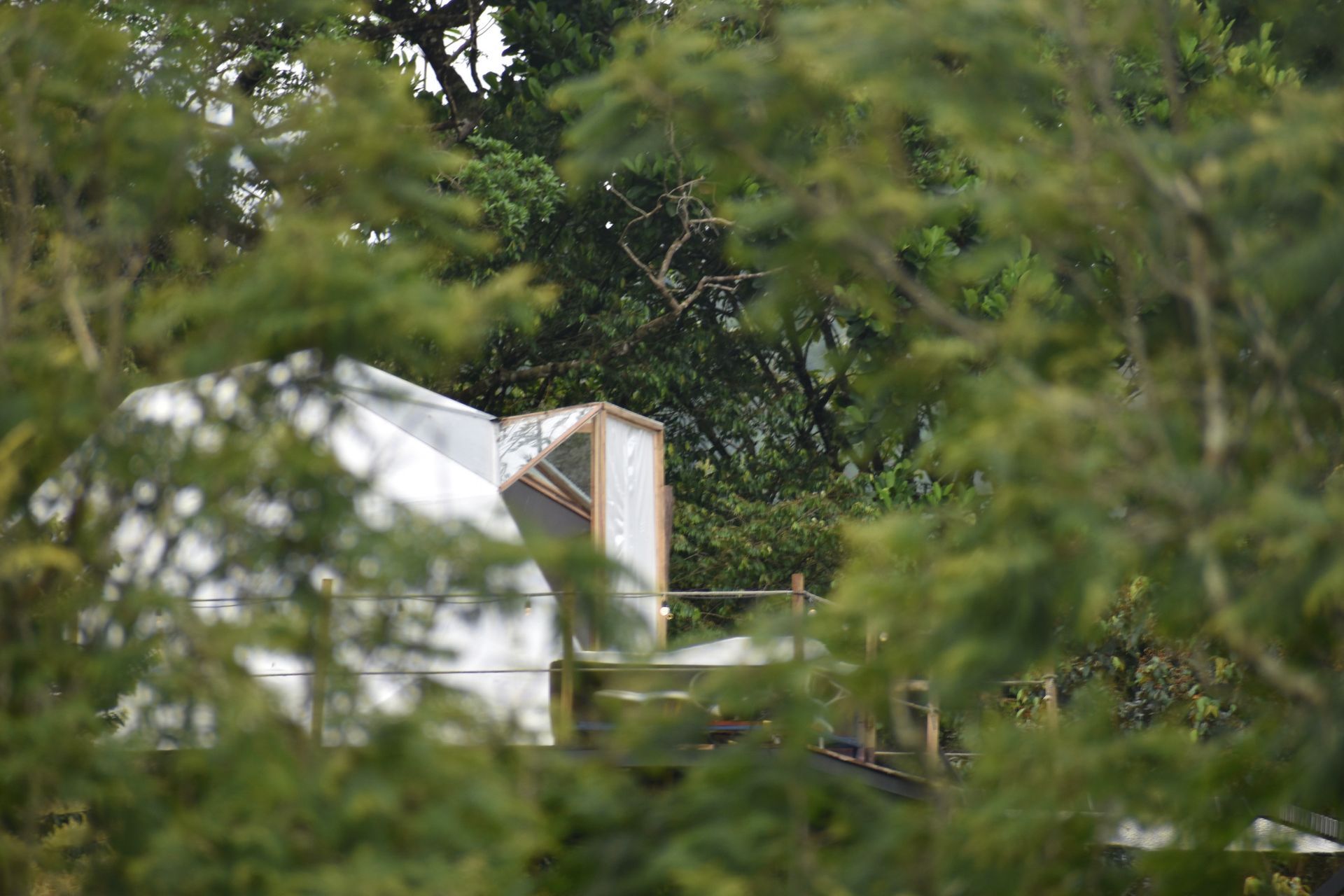 Una unidad de ventilación de metal brillante en un techo, parcialmente oculta por el follaje verde.