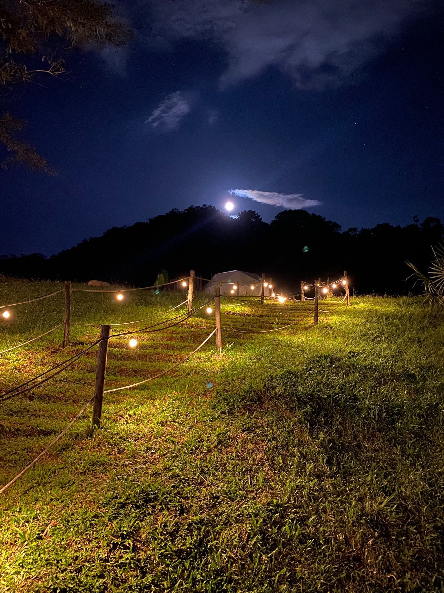 Escena de campo nocturna con luces de cadena que iluminan un camino hacia una colina y un cielo iluminado por la luna.