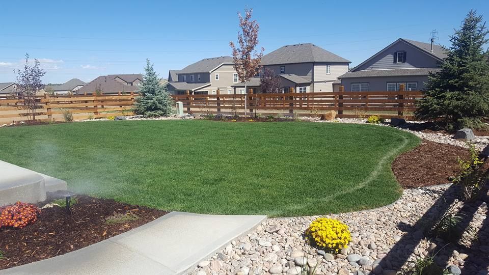 Lush green lawn with sprinkler, bordered by flowerbeds, fence, and houses on a sunny day.