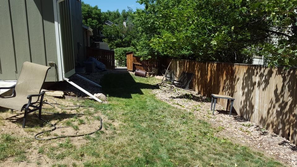 Backyard with a brown fence, green grass, and a green house. A chair sits on the left.