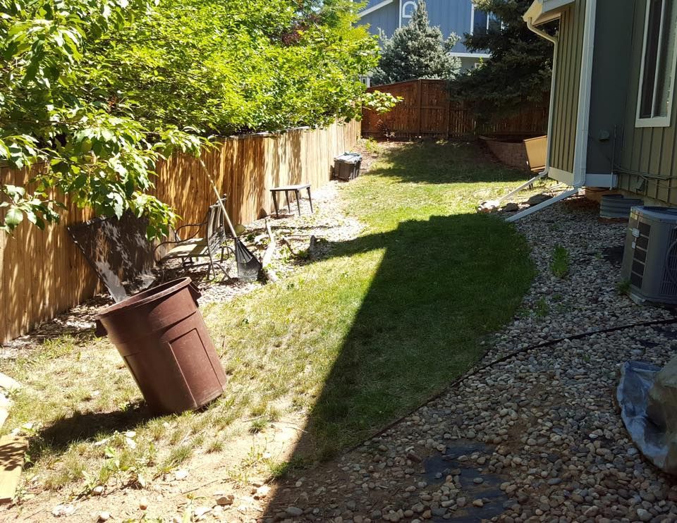 Backyard view with brown trash can, grass, and wooden fence. Sunlight casts long shadow.