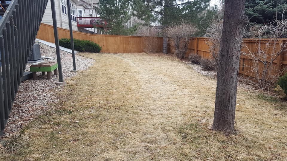Backyard with brown grass, wooden fence, tree, and small green bench.