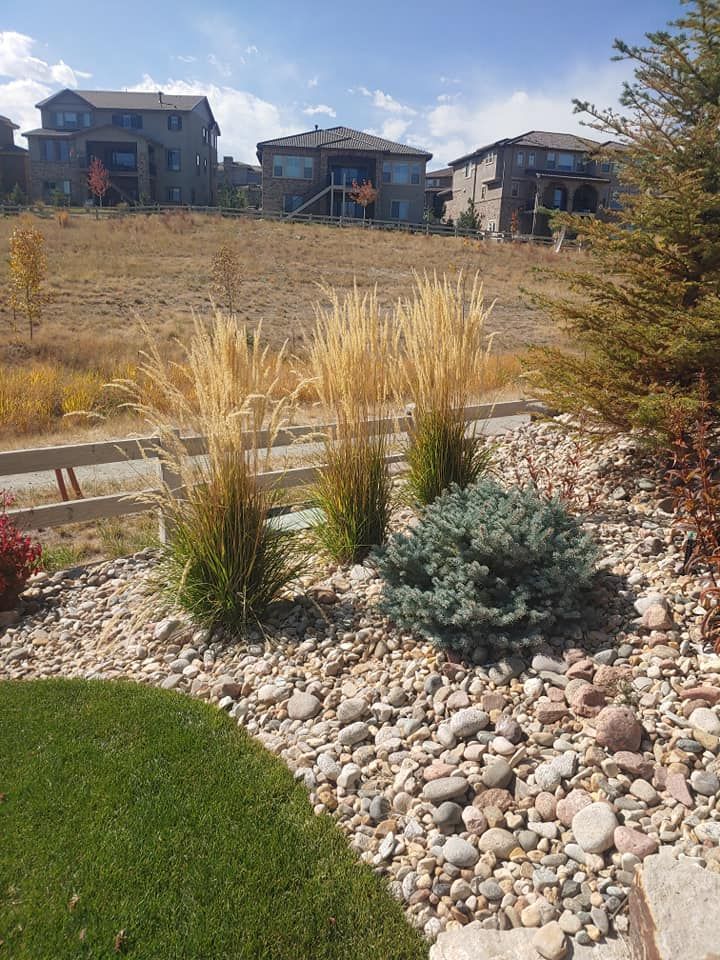 Landscaped front yard with tall grasses, blue bush, and stone ground cover; houses on a hill.