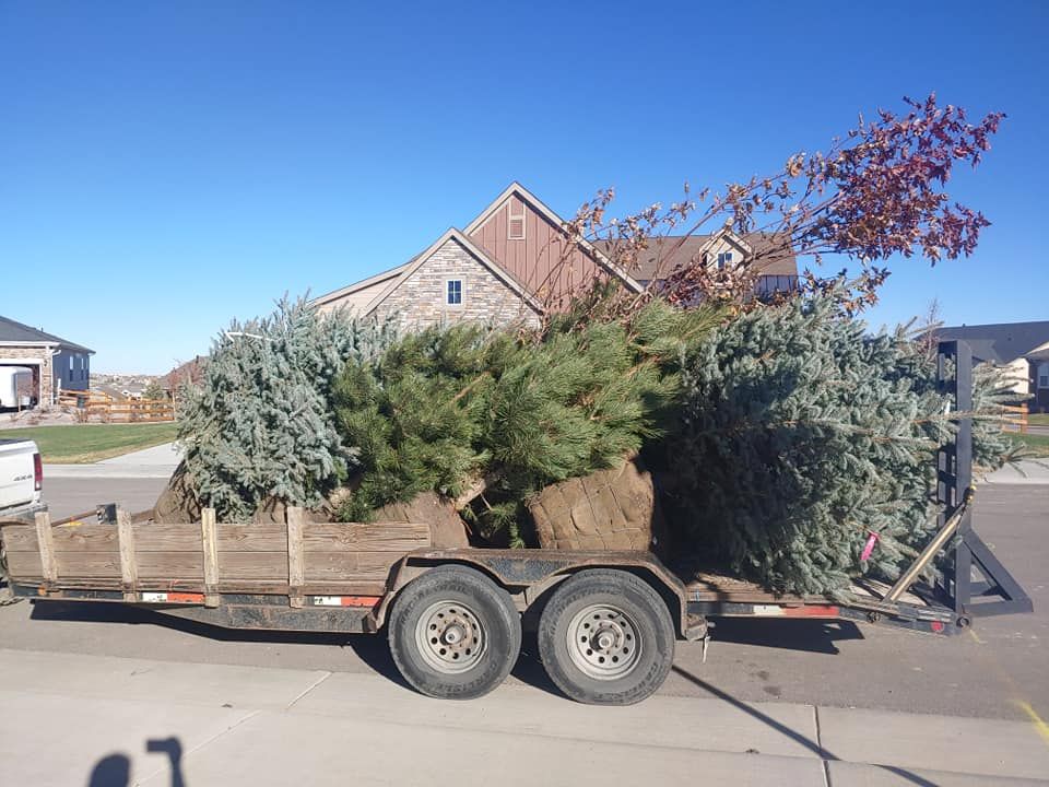 Trailer loaded with brush and a small tree, in front of a house on a sunny day.