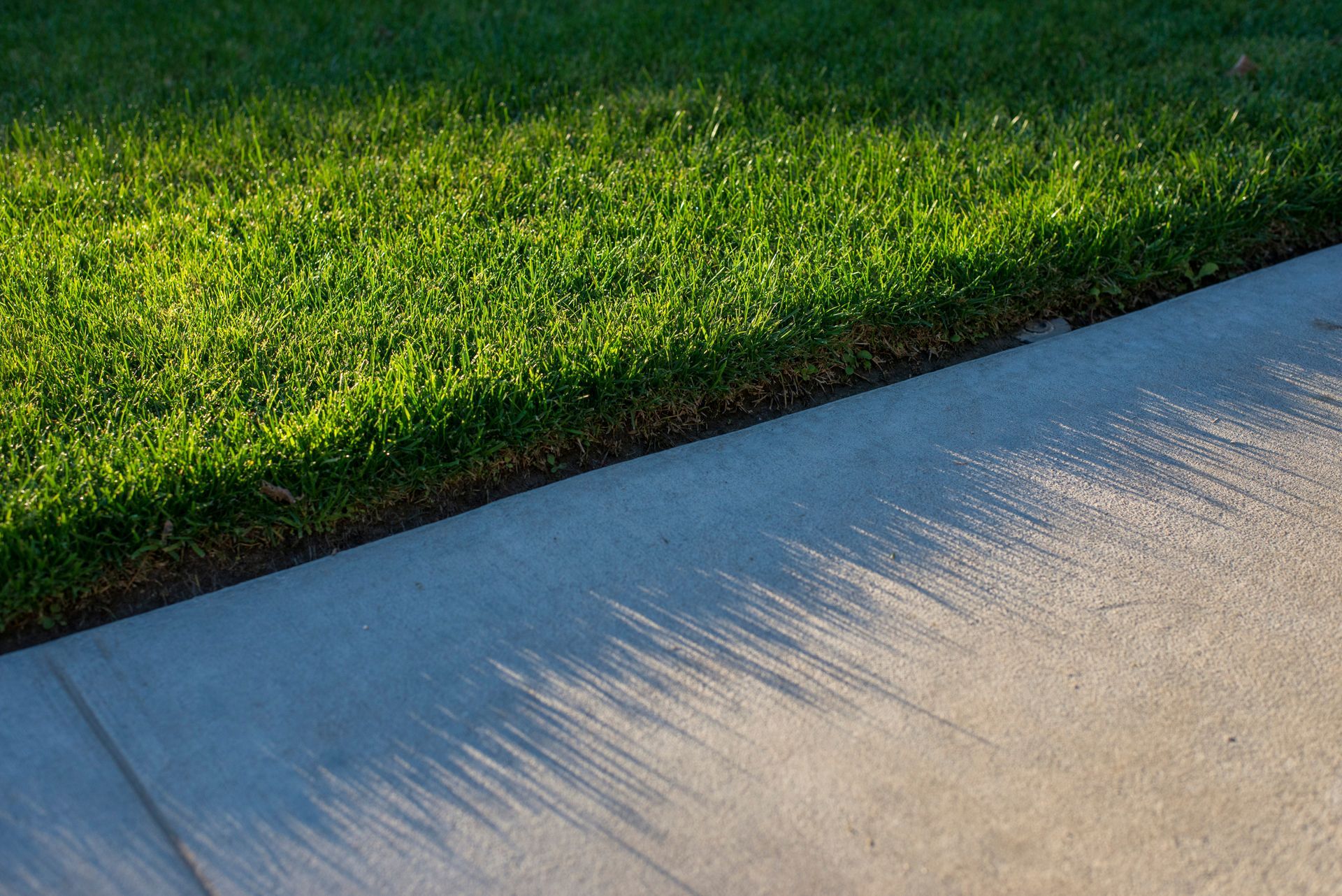 Lush green grass borders a concrete sidewalk, with shadows cast across its surface.