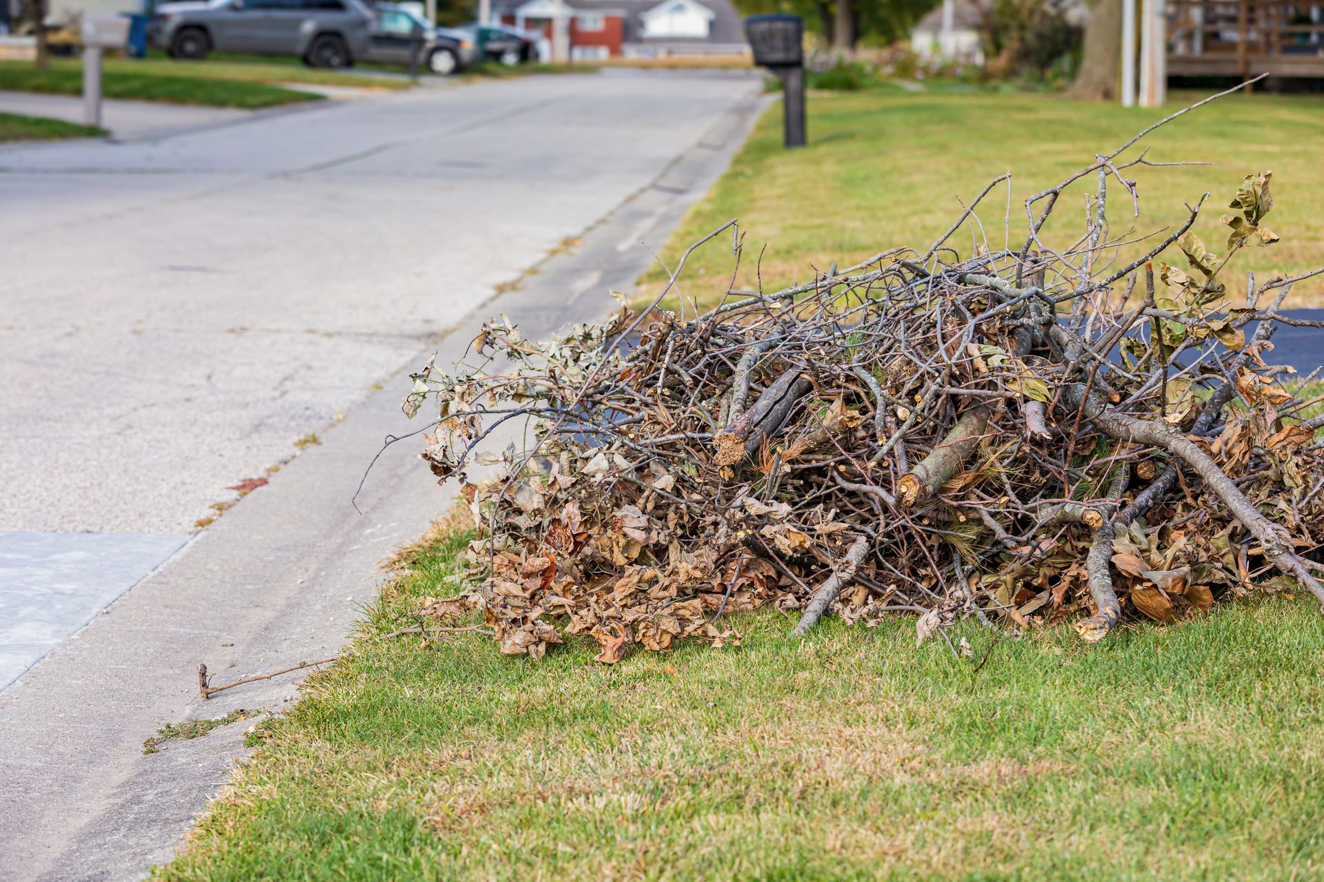 Pile of dead branches and leaves on a grassy lawn next to a curb and street.
