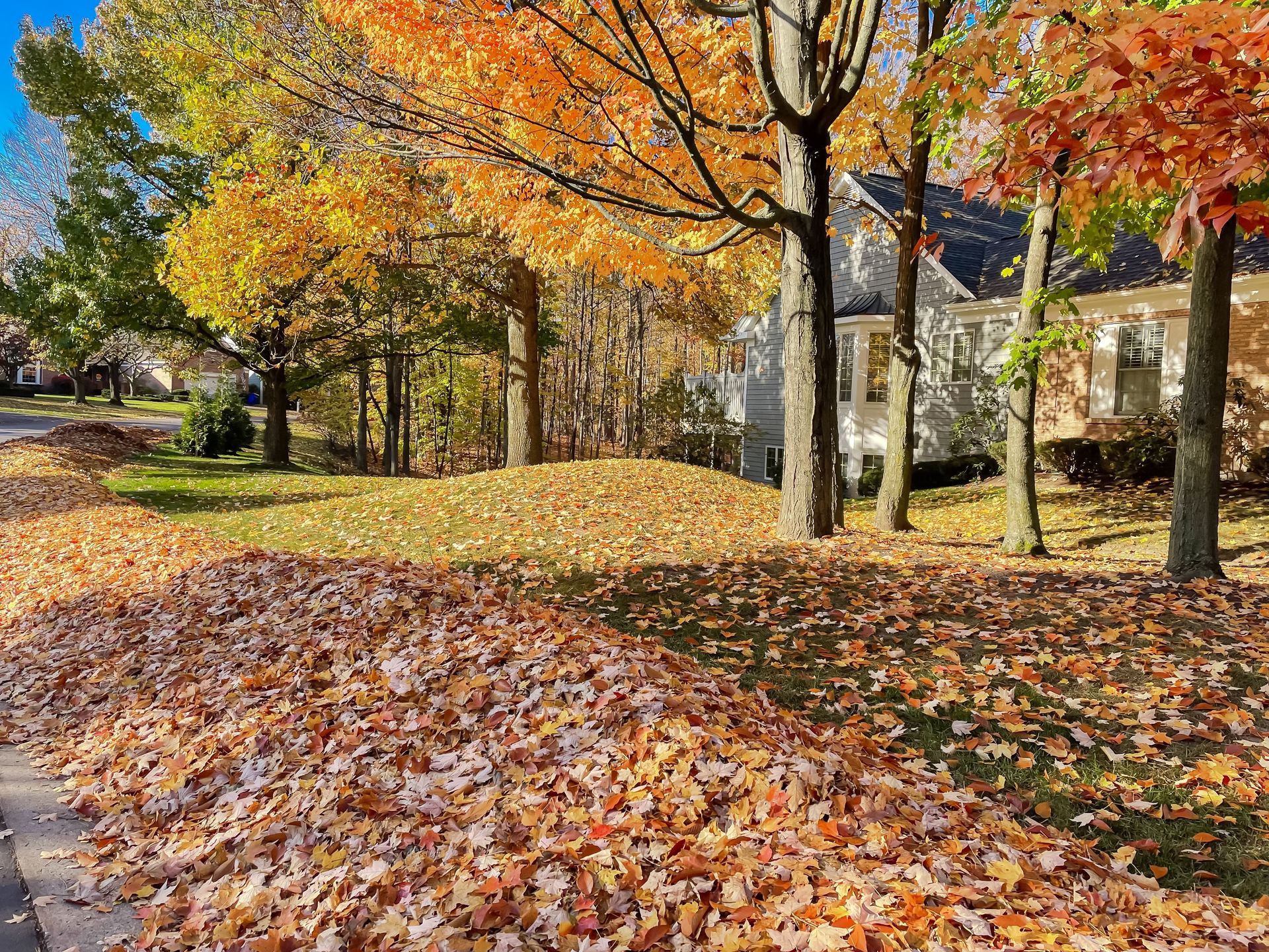 Piles of fallen autumn leaves on a residential street. Orange, yellow trees, and a house in the background.