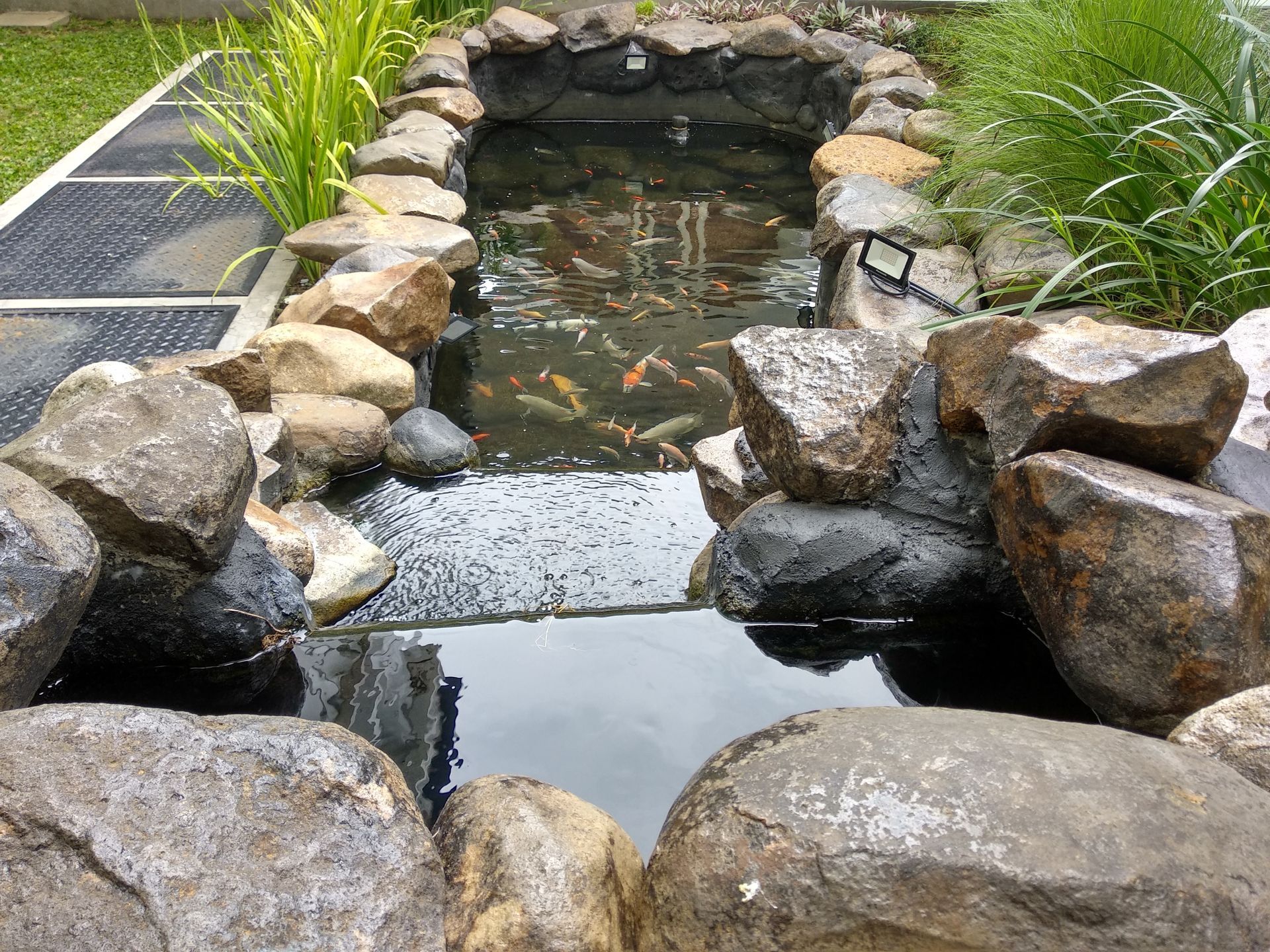 Pond with koi fish surrounded by large rocks, with plants on the sides.