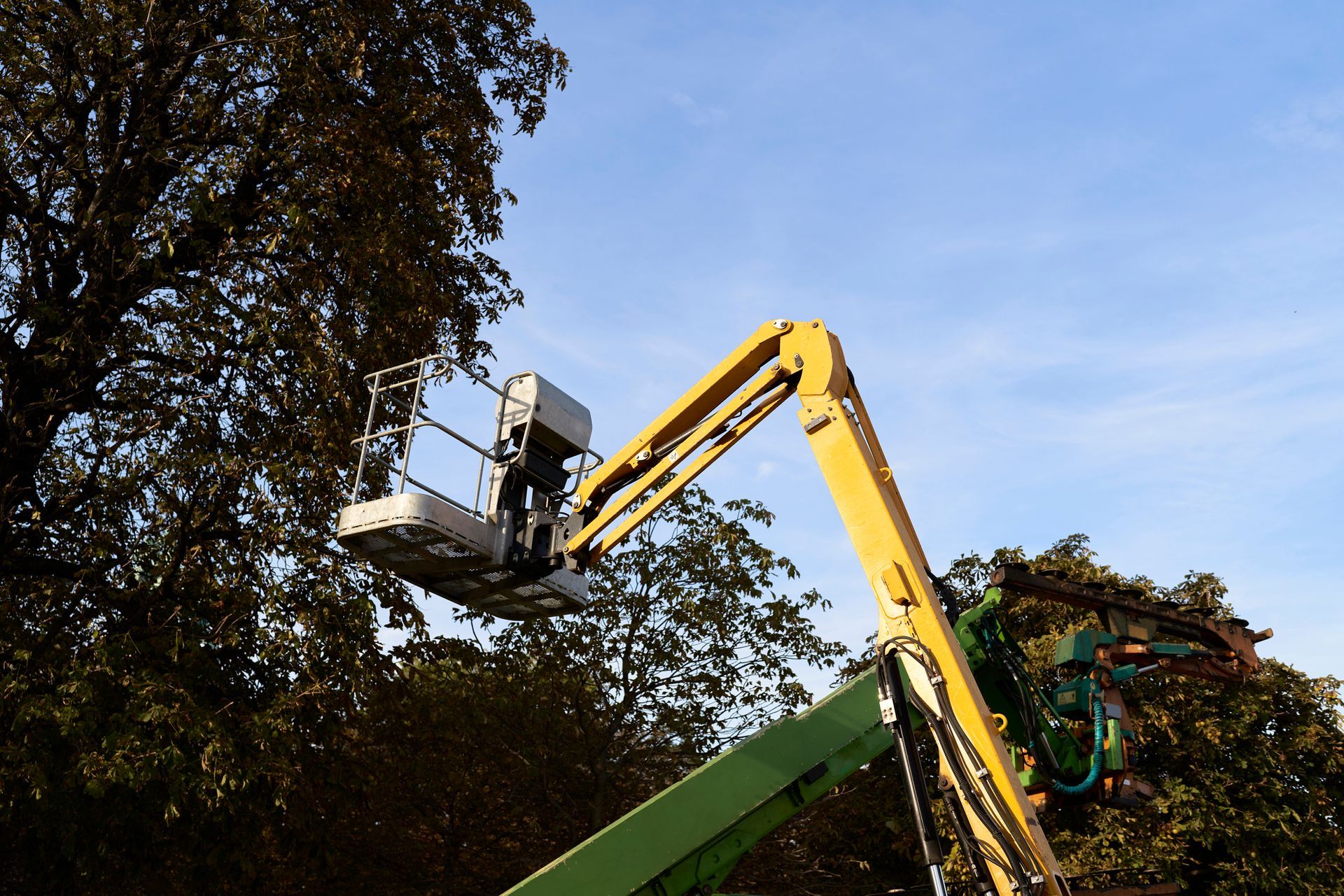 un uomo è in cima a una gru che lavora su un albero
