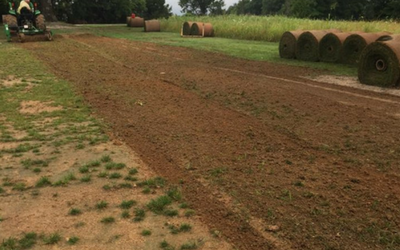 Mown grassy path beside a dirt field, with hay bales lined along the right side.