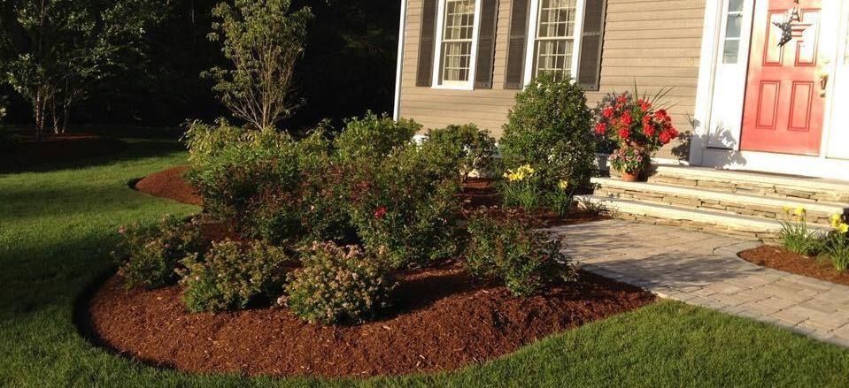 Landscaped front yard with shrubs, red mulch, and a house entrance with red door and steps