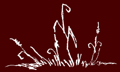 White abstract sketch of tall grass-like stems on a dark red background
