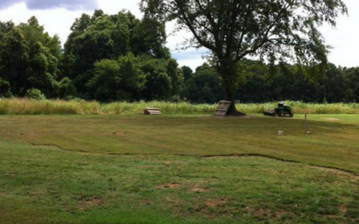 Grassy park with a large tree, a bench, and a mower near the treeline