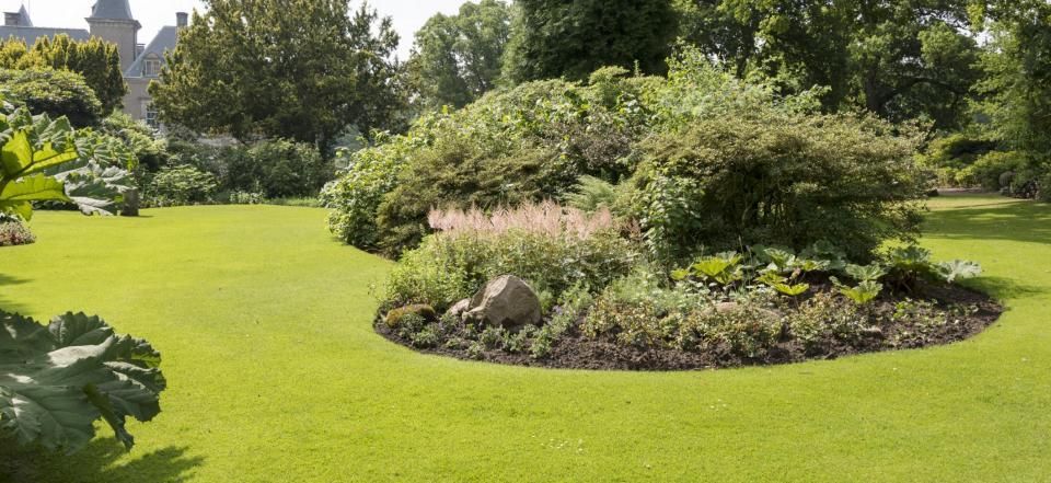 Lush green garden with a circular flower bed, shrubs, and trees in bright sunlight