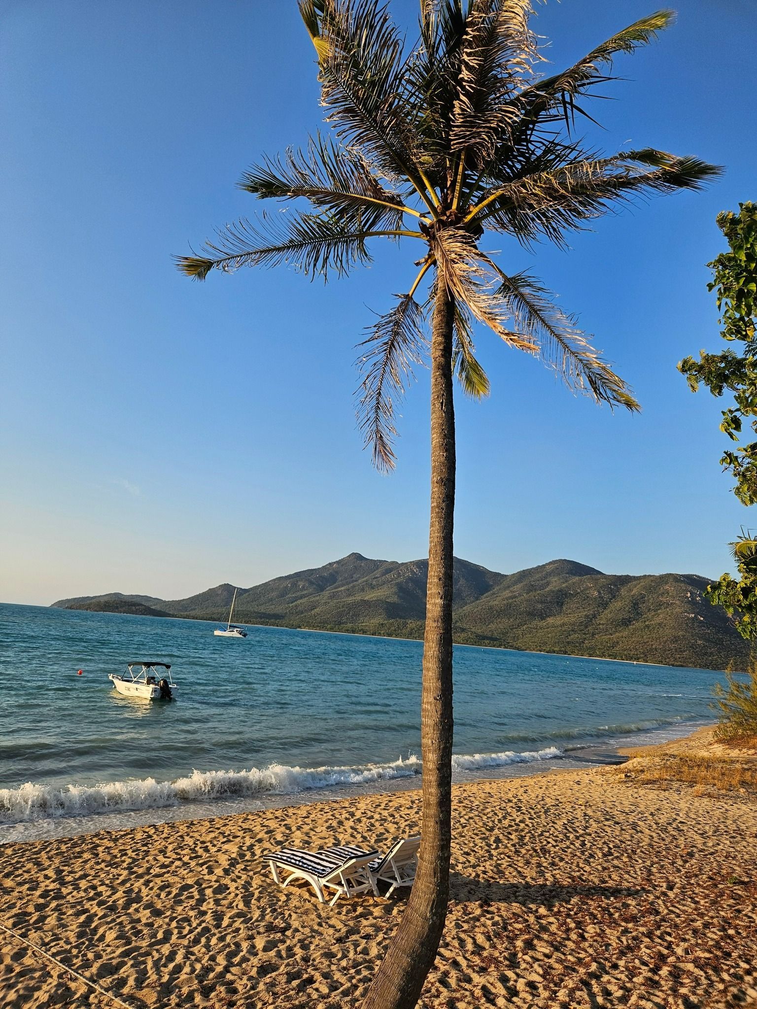 Beach With Palm Tree and Blue Water — The Beach Bar and Restaurant at Montes in Cape Gloucester, QLD
