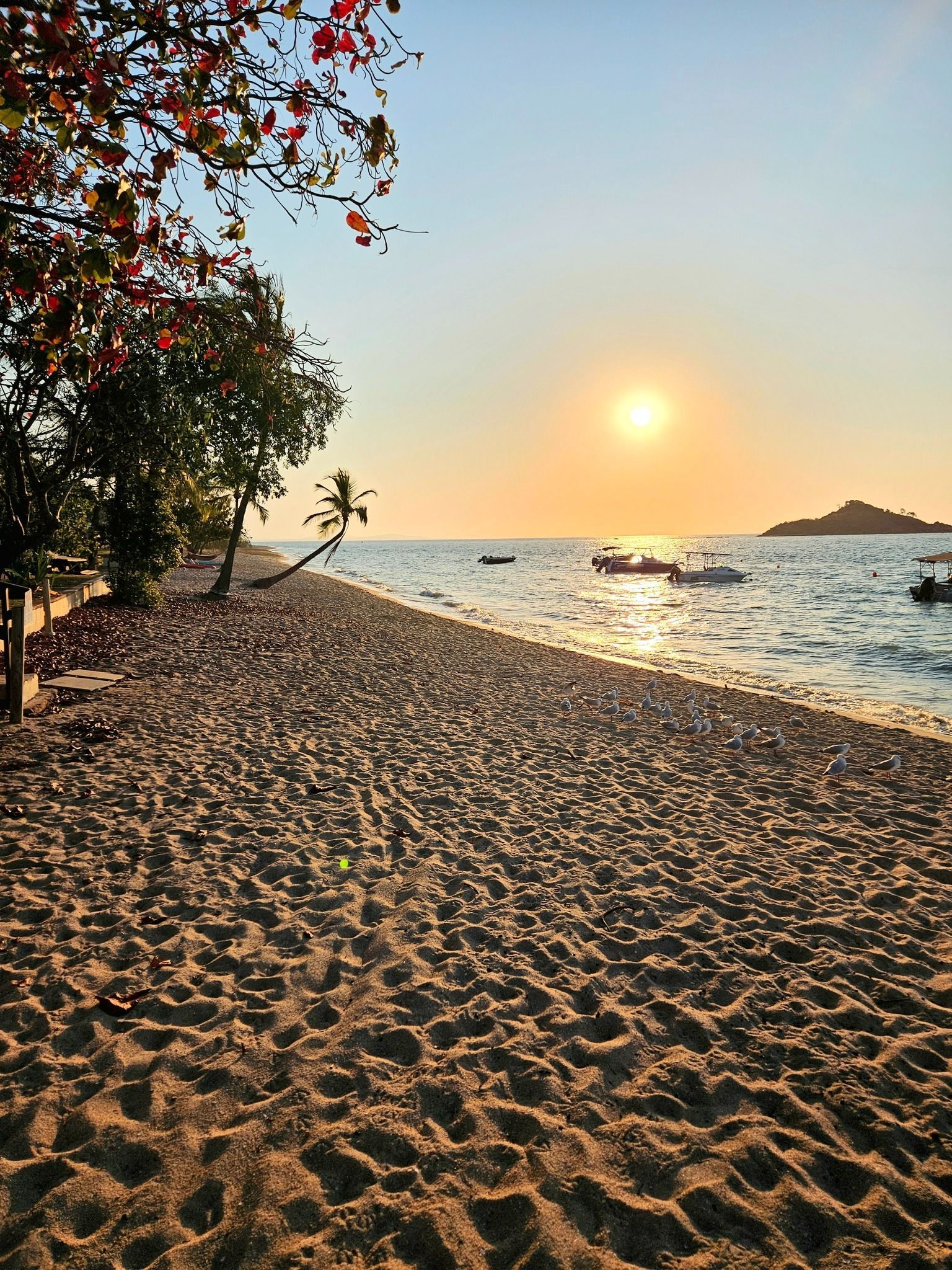 Beach at Sunset With Golden Sand and Calm Water — The Beach Bar and Restaurant at Montes in Cape Gloucester, QLD