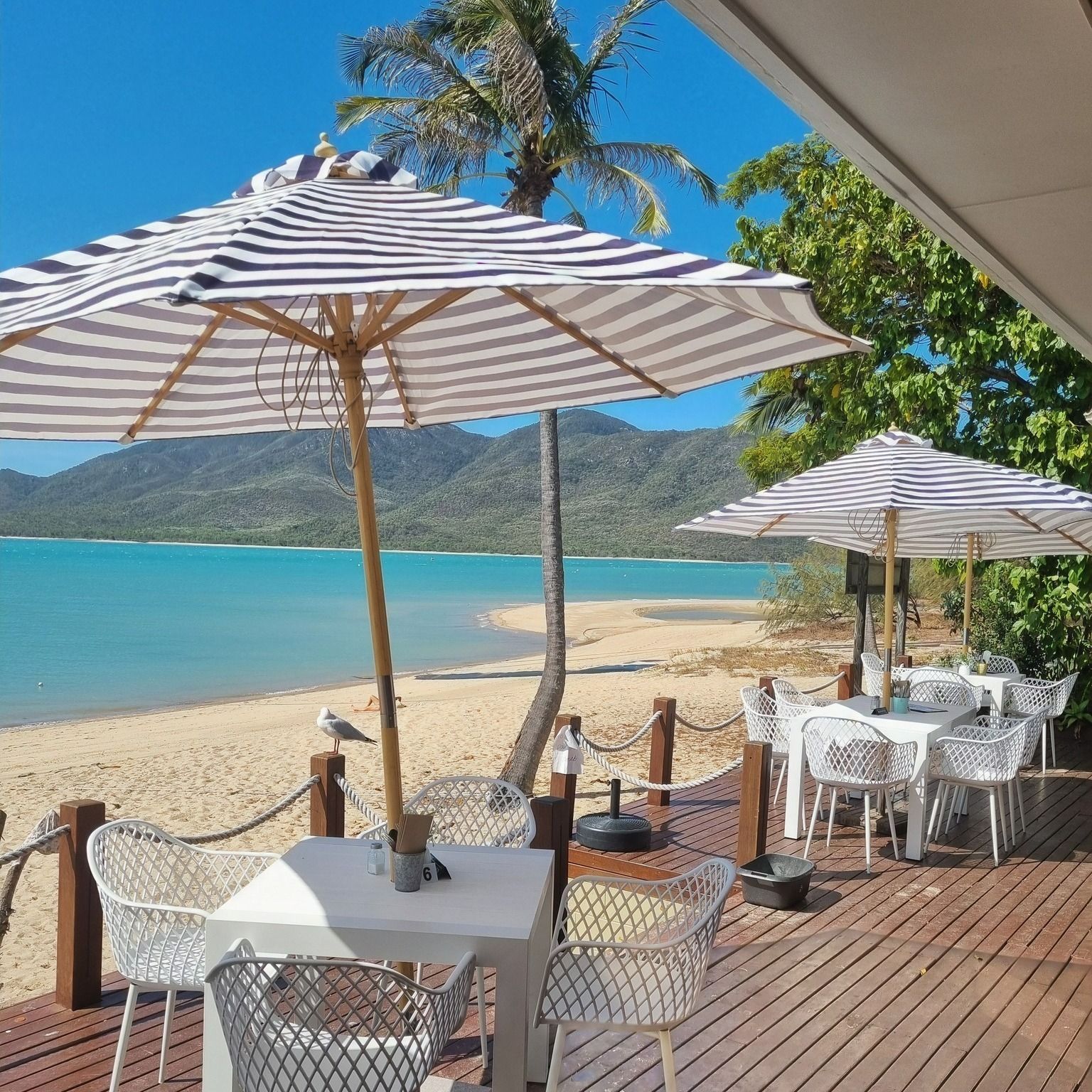 Outdoor Dining Area With Striped Umbrellas — The Beach Bar and Restaurant at Montes in Whitsundays, QLD