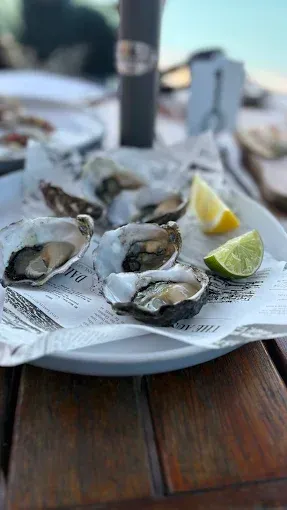 Fresh oysters on a plate with lemon and lime — The Beach Bar and Restaurant at Montes in Cape Gloucester, QLD