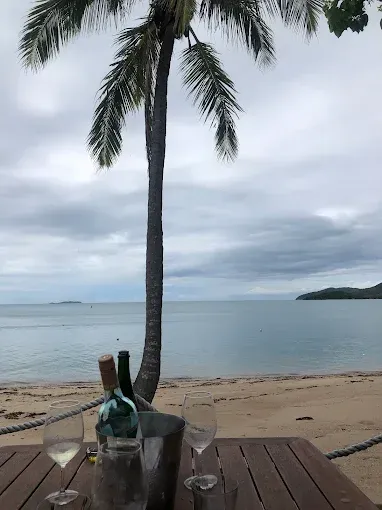 Wine bottle and glasses on a table under a palm tree — The Beach Bar and Restaurant at Montes in Cape Gloucester, QLD