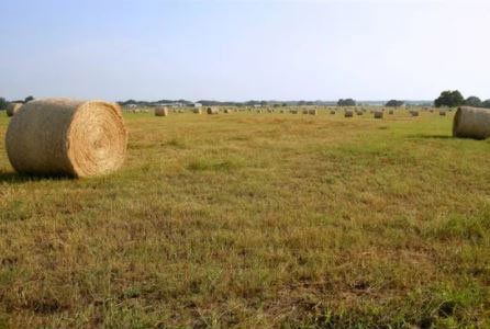 Open Field — Raymore, MO — Stan Ruby Insurance Agency