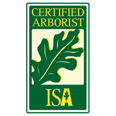 Green and yellow Certified Arborist ISA logo with an oak leaf.