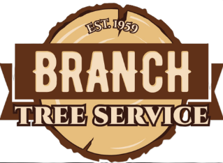 Branch Tree Service LLC