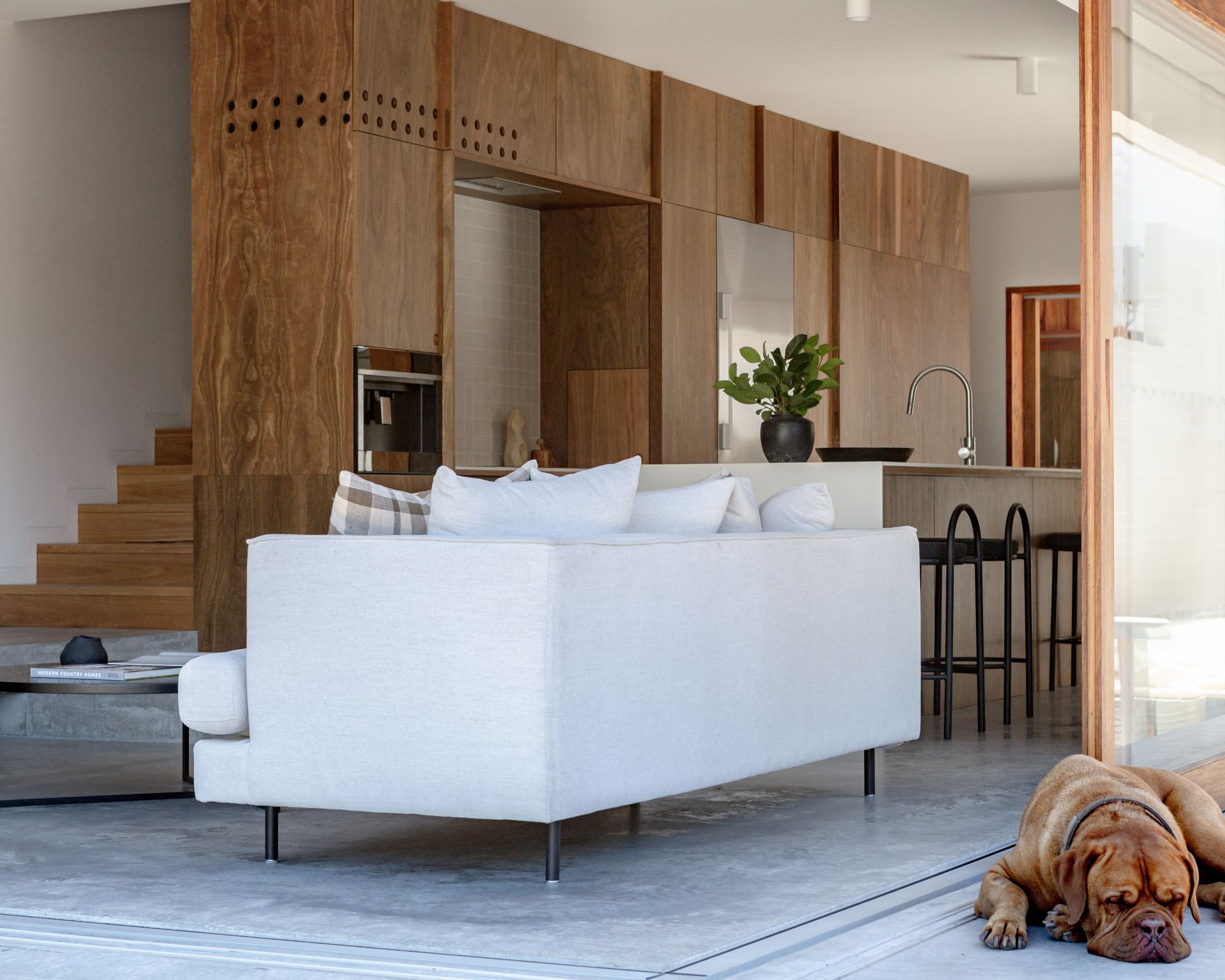 White sofa in modern living room with wooden cabinetry and a dog.