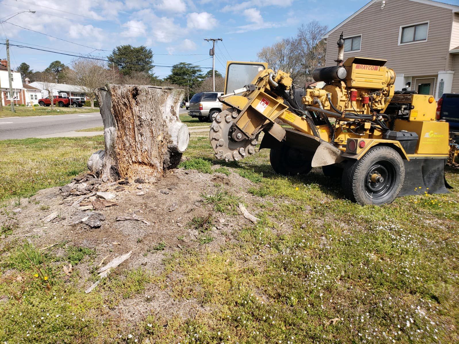 Tree stump — Chesapeake, VA — The Stump Grinders