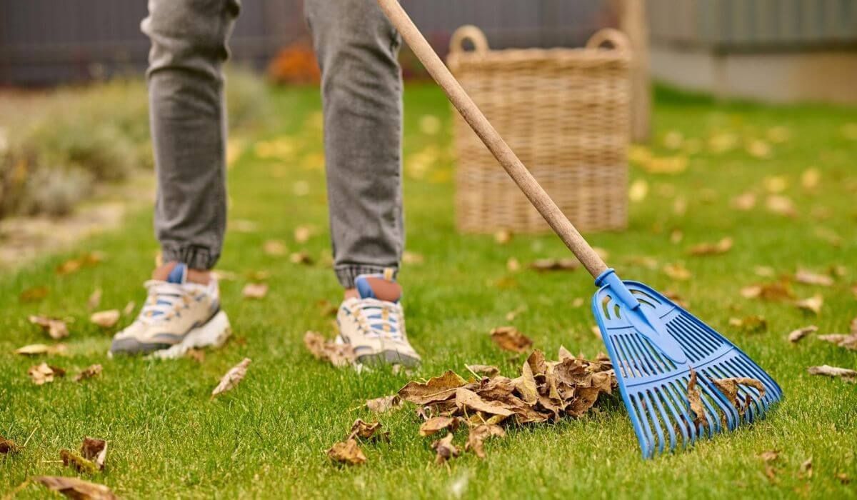 autumn clean